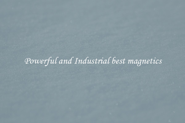 Powerful and Industrial best magnetics