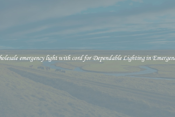 Wholesale emergency light with cord for Dependable Lighting in Emergencies