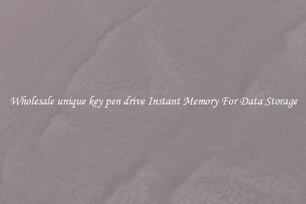 Wholesale unique key pen drive Instant Memory For Data Storage