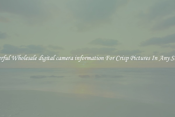 Powerful Wholesale digital camera information For Crisp Pictures In Any Setting