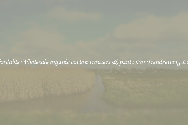 Affordable Wholesale organic cotton trousers & pants For Trendsetting Looks