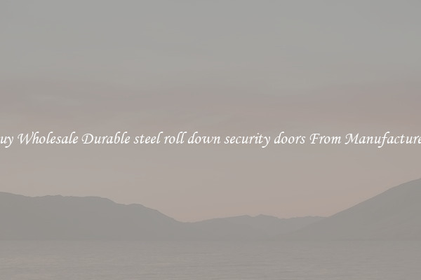 Buy Wholesale Durable steel roll down security doors From Manufacturers