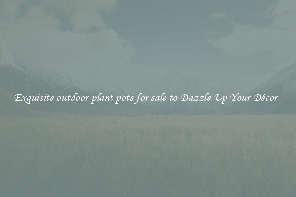 Exquisite outdoor plant pots for sale to Dazzle Up Your Décor  