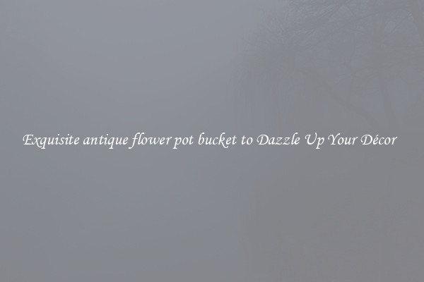 Exquisite antique flower pot bucket to Dazzle Up Your Décor  