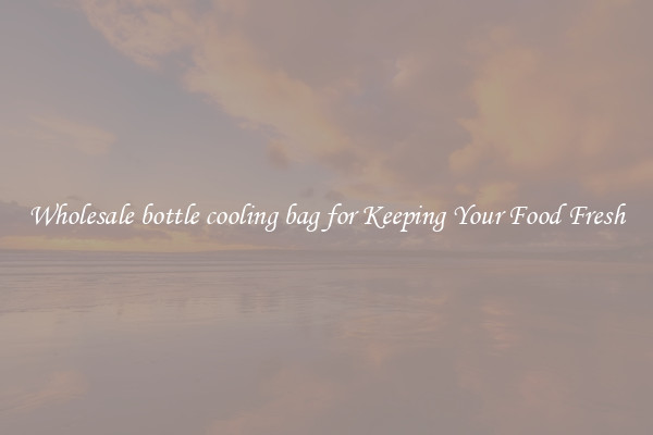 Wholesale bottle cooling bag for Keeping Your Food Fresh