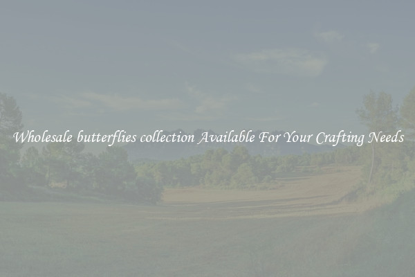 Wholesale butterflies collection Available For Your Crafting Needs