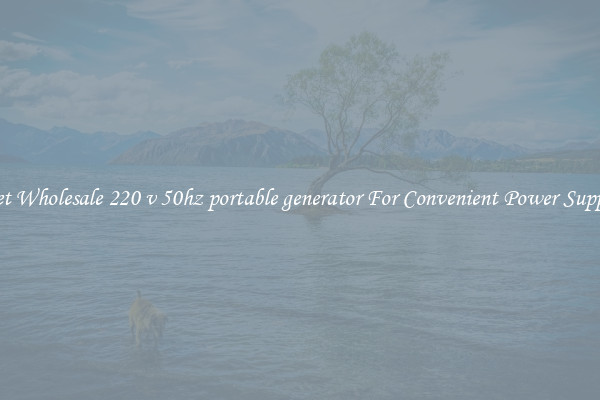 Get Wholesale 220 v 50hz portable generator For Convenient Power Supply