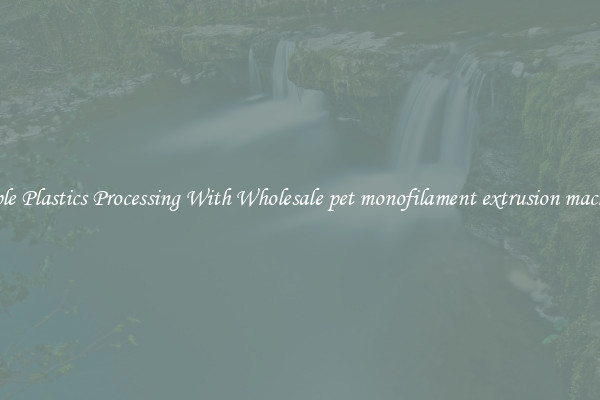 Simple Plastics Processing With Wholesale pet monofilament extrusion machines