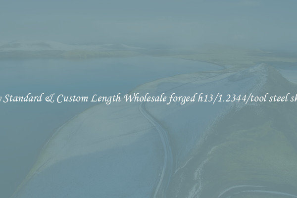 Buy Standard & Custom Length Wholesale forged h13/1.2344/tool steel skd61