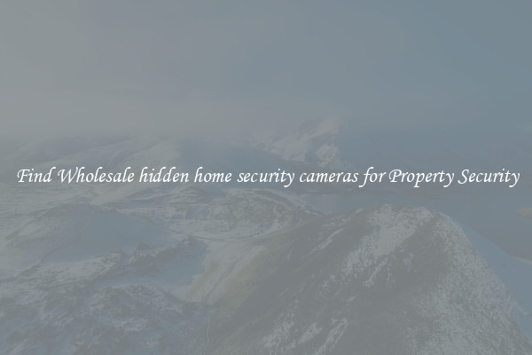 Find Wholesale hidden home security cameras for Property Security