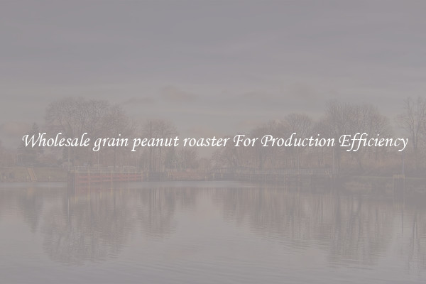 Wholesale grain peanut roaster For Production Efficiency