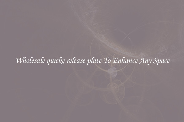 Wholesale quicke release plate To Enhance Any Space
