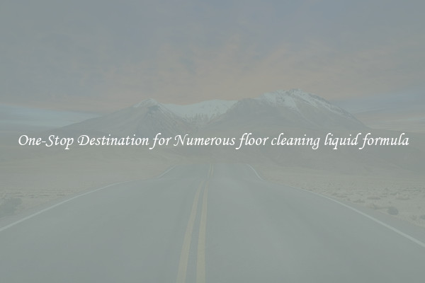 One-Stop Destination for Numerous floor cleaning liquid formula