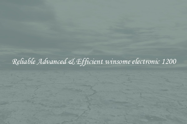 Reliable Advanced & Efficient winsome electronic 1200