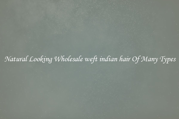 Natural Looking Wholesale weft indian hair Of Many Types