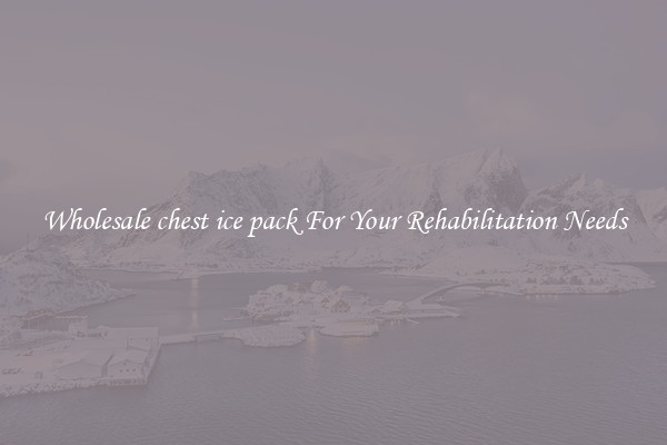 Wholesale chest ice pack For Your Rehabilitation Needs