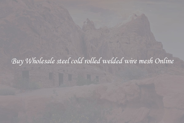 Buy Wholesale steel cold rolled welded wire mesh Online