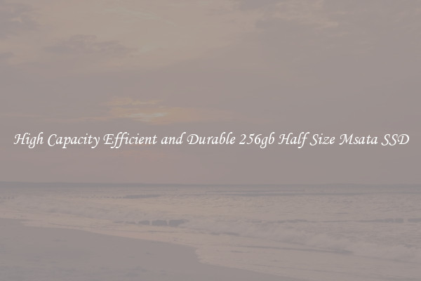 High Capacity Efficient and Durable 256gb Half Size Msata SSD