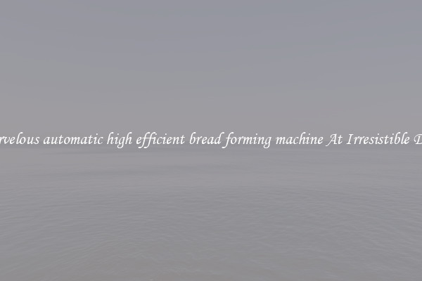 Marvelous automatic high efficient bread forming machine At Irresistible Deals