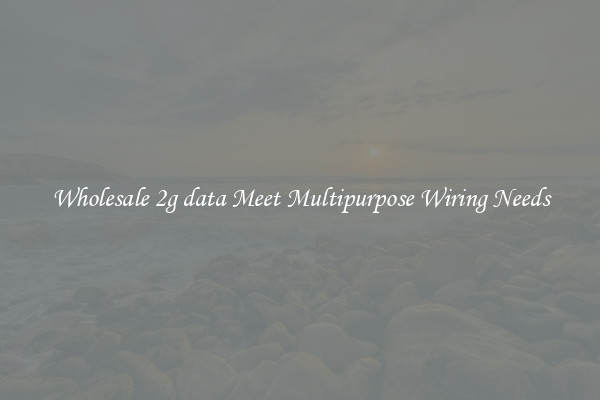 Wholesale 2g data Meet Multipurpose Wiring Needs