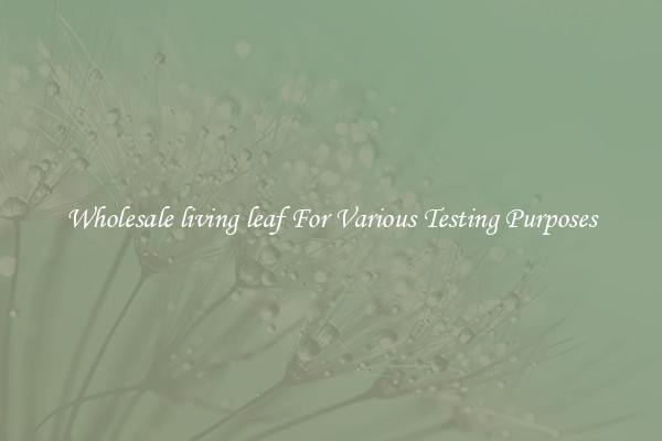 Wholesale living leaf For Various Testing Purposes