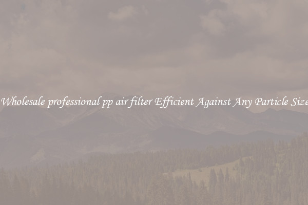 Wholesale professional pp air filter Efficient Against Any Particle Size