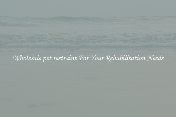 Wholesale pet restraint For Your Rehabilitation Needs