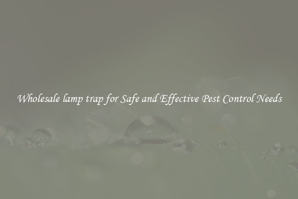 Wholesale lamp trap for Safe and Effective Pest Control Needs