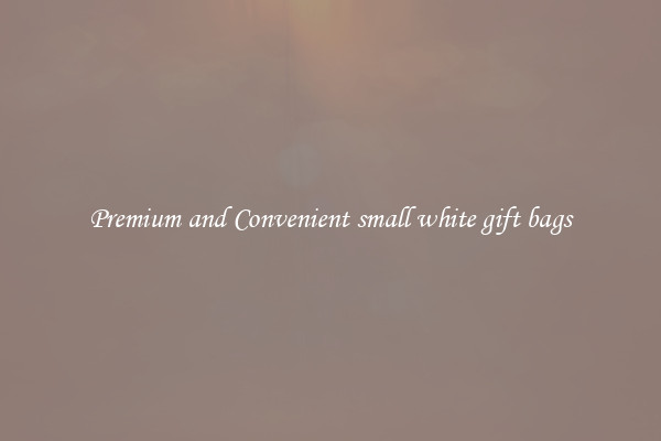Premium and Convenient small white gift bags